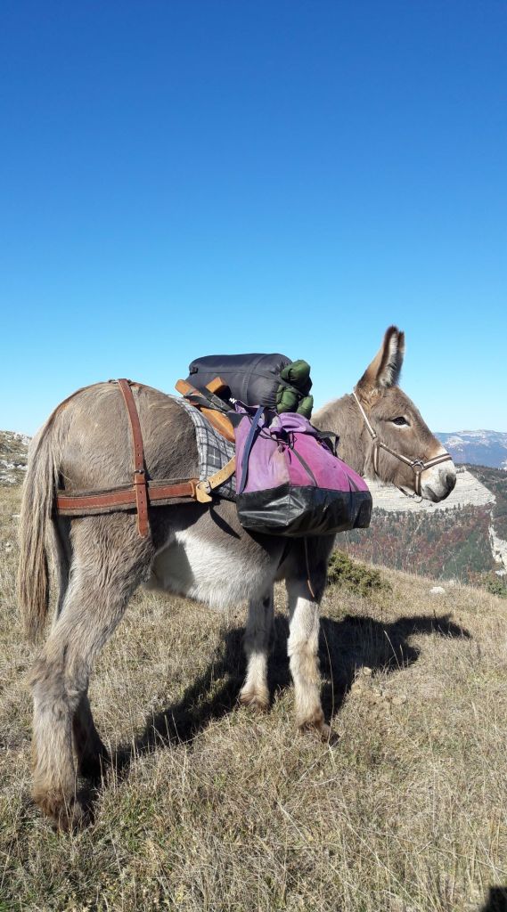 chargement affaires bivouac